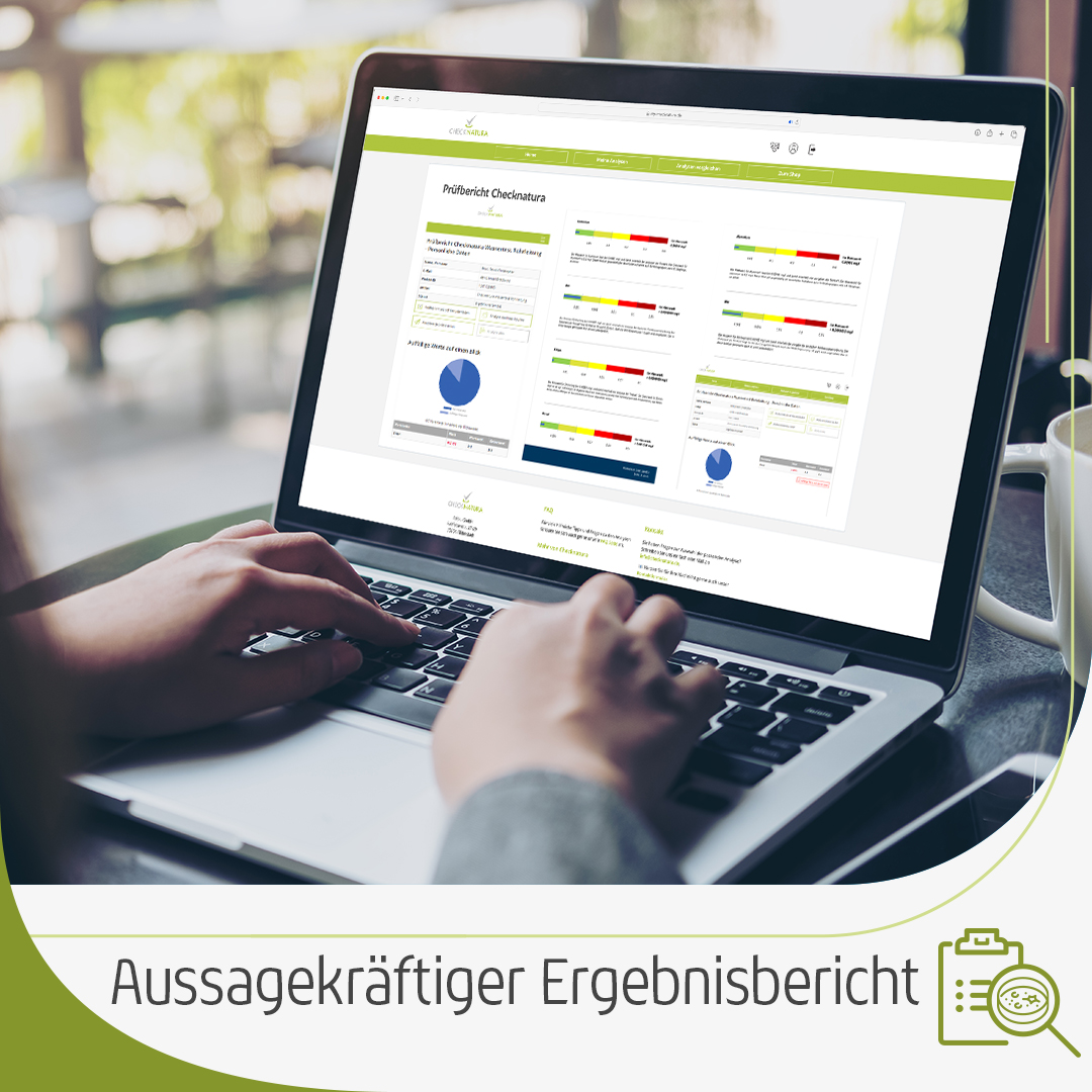 Aussagekräftiger Schimmeltest-Ergebnisbericht