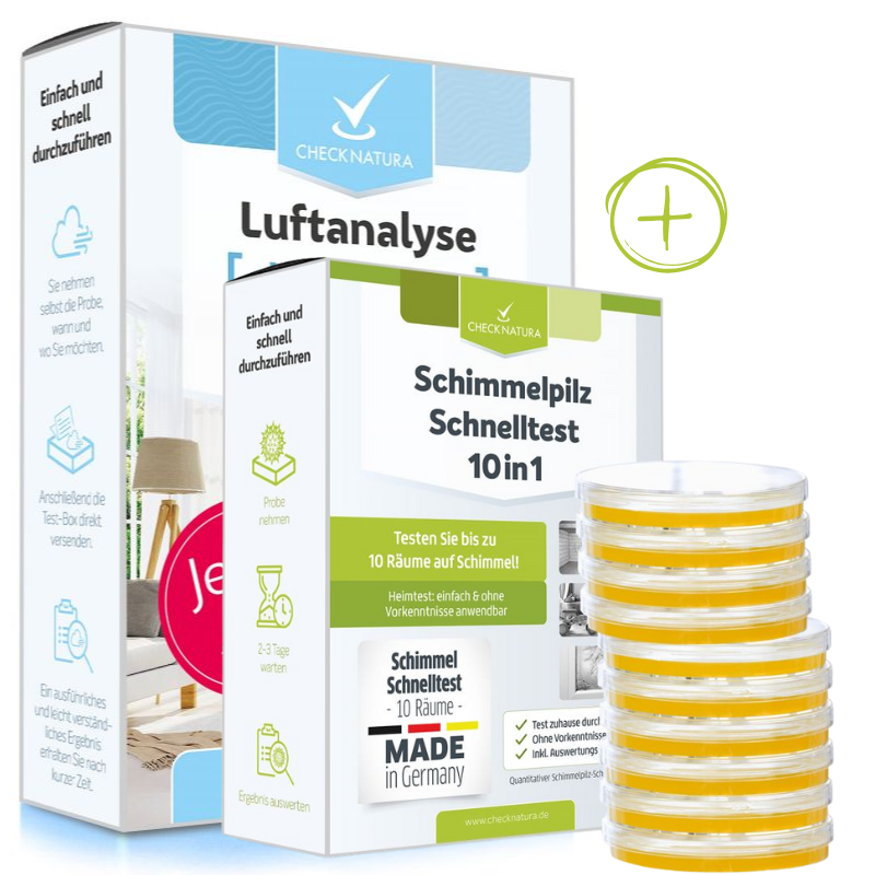 Vorteils-Set: Luftanalyse Wohnraum Premium plus Schimmel-Schnelltest