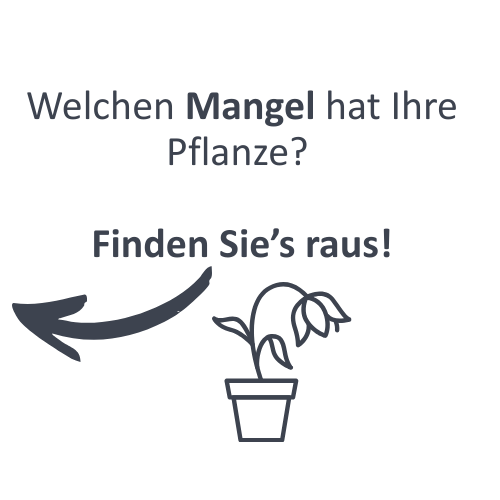 Finden Sie raus, was Ihren Pflanzen fehlt.
