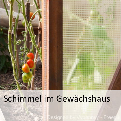 Schimmel im Gewächshaus