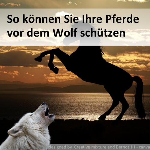 Wolfsriss und Pferd: So können Sie Ihre Pferde vor dem Wolf schützen .