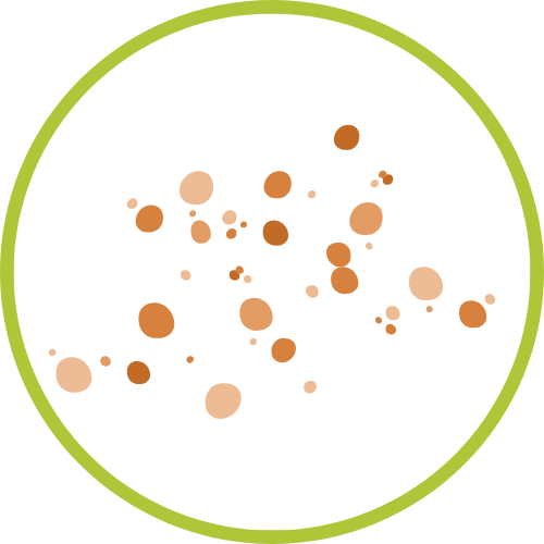 Schimmelsporen-Icon