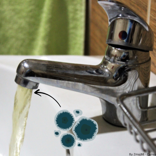 Ein Wasserhahn, aus dem grünes Wasser fließt. Daneben ein Schimmelicon. 