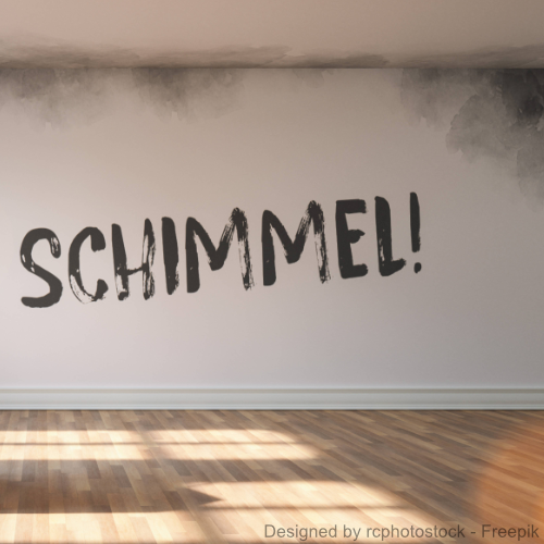 Auf einer schimmeligen Zimmerwand steht groß das Wort "Schimmel" geschrieben