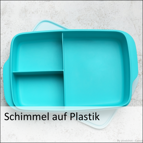 Schimmel auf Plastik