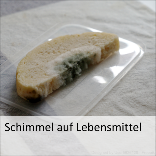 Schimmel auf Lebensmitteln