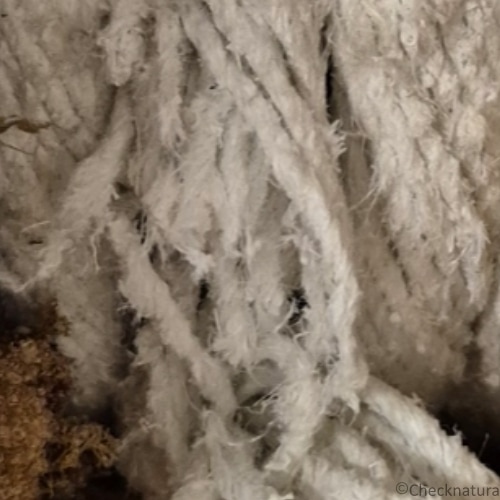 Ein Bild von hellen Asbestschnüren als Isolierung von Heizungsrohren. 