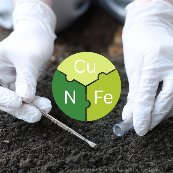 Hände mit weißen Handschuhen setzen eine Pflanze in dunkle Erde, darüber ein farbiger Kreis mit den chemischen Symbolen Cu, N und Fe in Puzzleteilen.