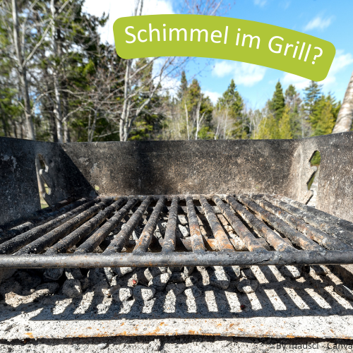 Ein Gasgrill, auf dessen Rost und Innenseite sich Schimmel befindet.