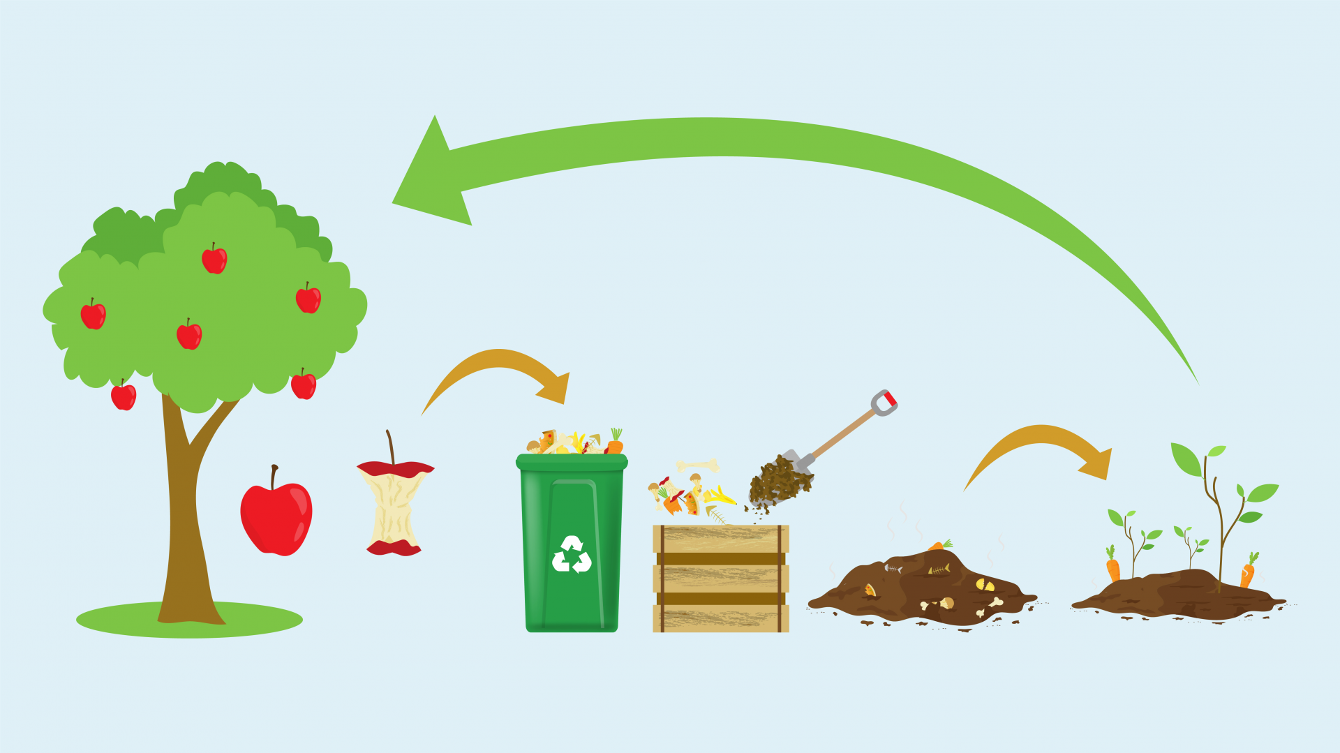 Der Kompost-Lebenszyklus. Pflanzenreste kommen auf den Kompost, zersetzen sich und werden zu Dünger, der von neuen Pflanzen aufgenommen wird.