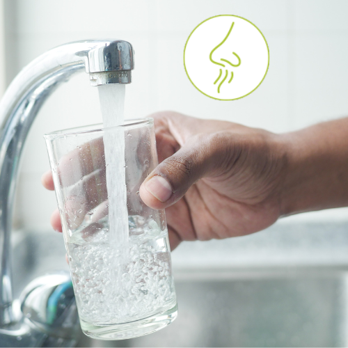 Wasser riecht ungewöhnlich ▻ faulig, muffig, metallisch