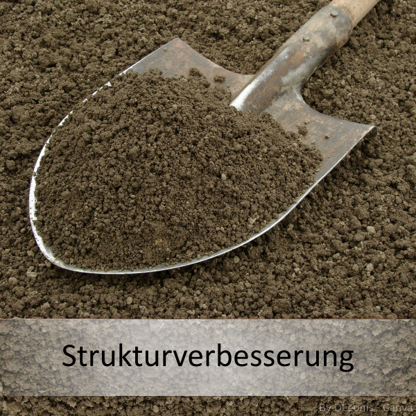 Schaufel mit tonigem Boden zur Strukturverbesserung.