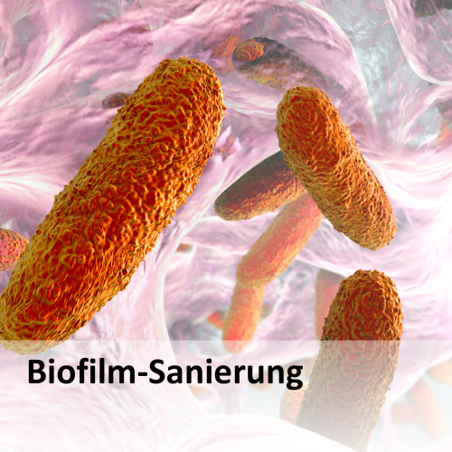 Biofilm-Sanierung in der Zahnarztpraxis