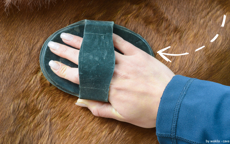 Eine Hand striegelt ein Pferd mit Hungerhaaren.