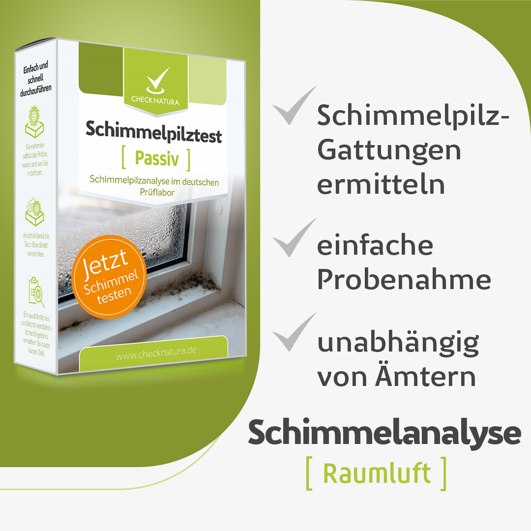 Mithilfe des Schimmeltest Raumluft die Schimmelpilzgattungen ermitteln