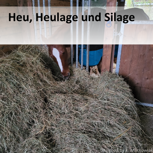 Heu, Heulage und Silage. Man sieht ei Pferd, das Heu frisst. 