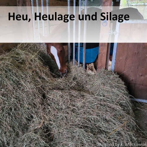 Heu, Heulage und Silage. Man sieht ei Pferd, das Heu frisst.