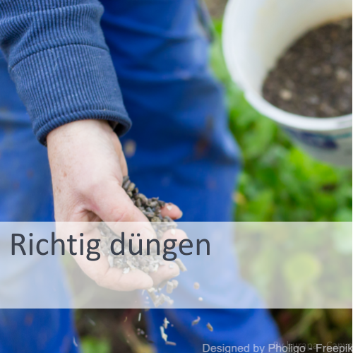 Teaser Kachel zum Text Richtig Düngen