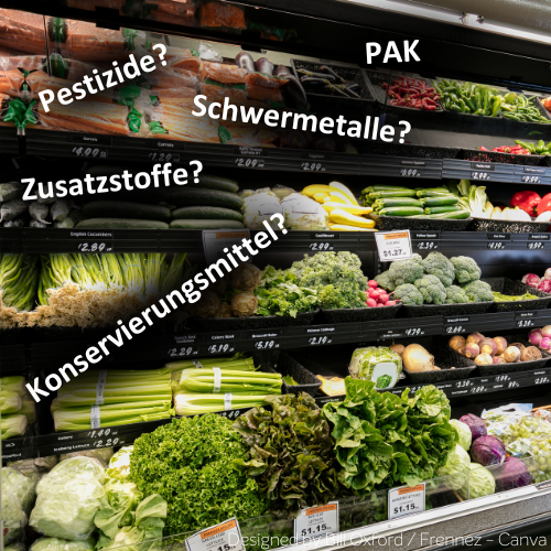 Ein Supermarktregal. Davor stehen in schwarzen Wolken die Wörter PAK, Konservierungmittel, Pestizide, Zusatzstoffe und Konservierungsmittel.