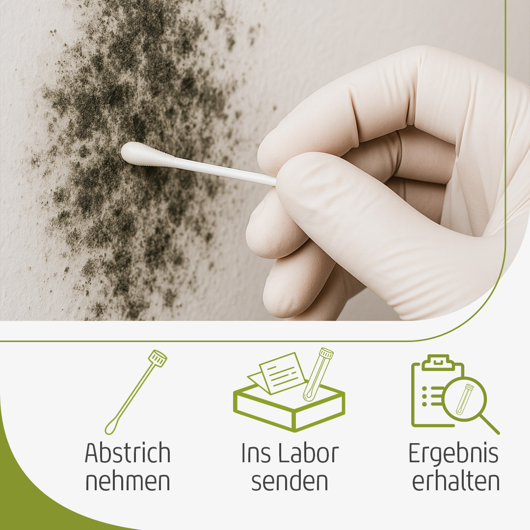 Abstrichprobe nehmen, ins Labor senden und Ergebnis erhalten. 