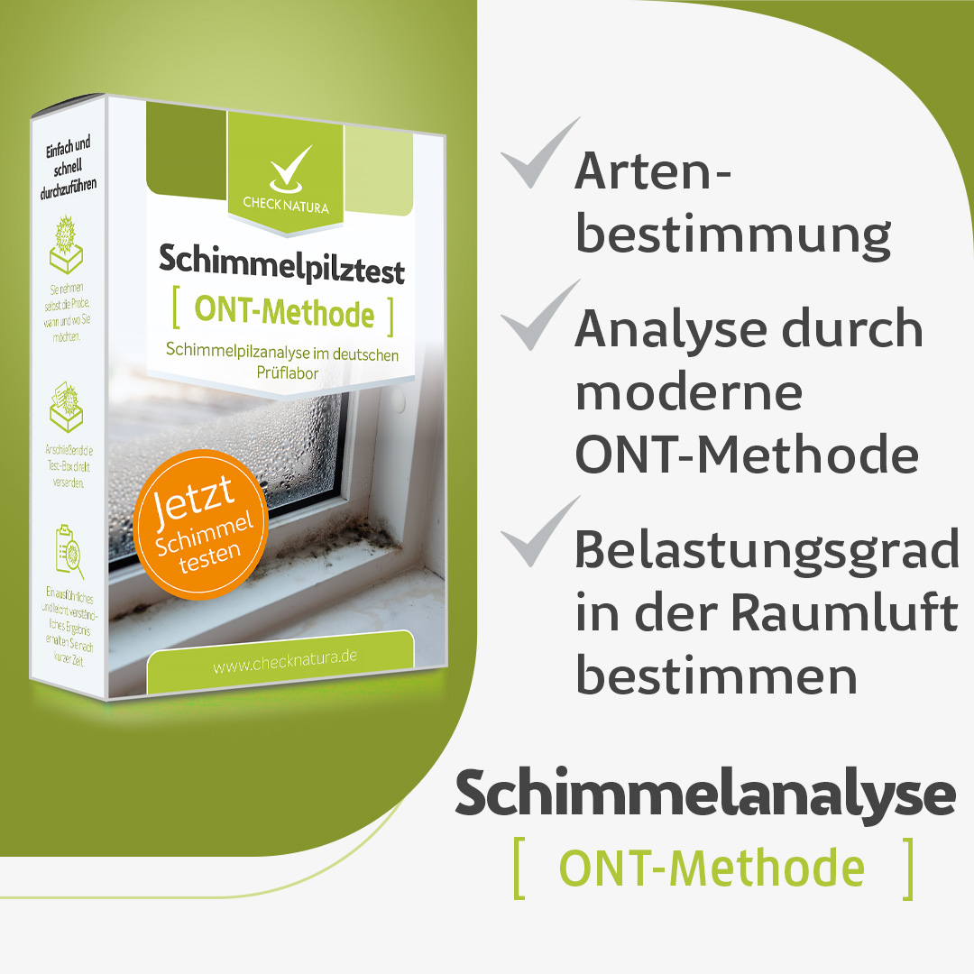 Schimmeltest ONT-Methode USPs