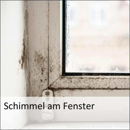 Schimmel am Fenster