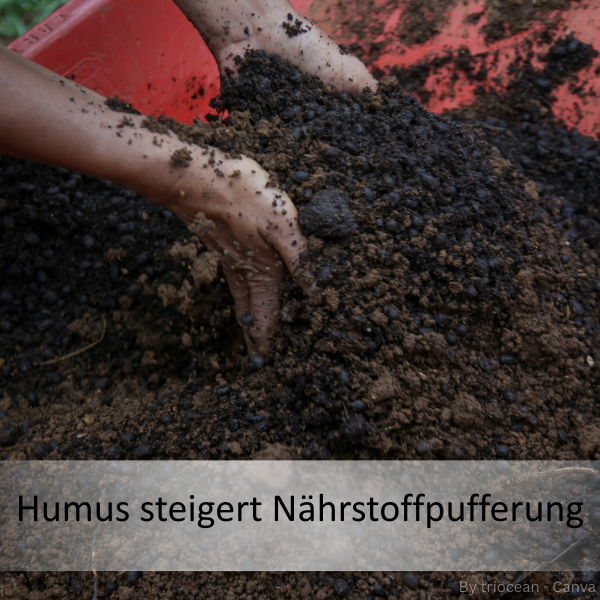 Hände, die lockere, dunkle Erde auf sandigem Boden halten und formen.