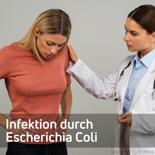 Zu viele E.-coli-Bakterien im Darm Symptome & Ursachen